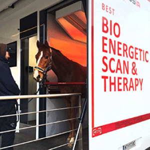 EQUUSIR BEST BOX Gutschein Erst-Scan & Behandlung 60 Min.