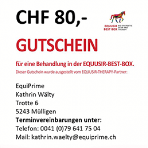 EQUUSIR BEST BOX Gutschein Folgebehandlung 30 Min.