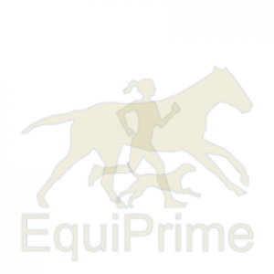 Equusir BIONIC DESINFEKTION 0,5 Liter Spray (4er Karton)